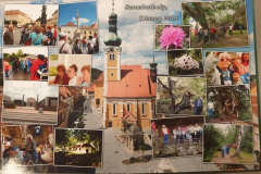 263816714_909099123053870_5417691734655409853_n-1-rotated