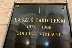 received_1365986647471851