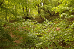 59204012_10215008272623781_4951912256506953728_n26483-masolata