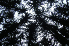 59273896_1289593571206943_6162217809838342144_n26479-masolata