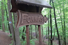 59295215_10215008275223846_3030591274097836032_n26473-masolata