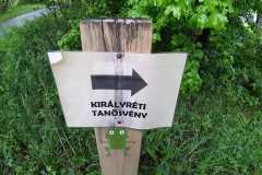 59295355_10215008287184145_1675718676361248768_n26474-masolata