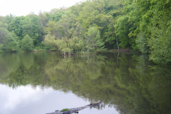 59396788_1289594674540166_5173921229161103360_n26478-masolata-1