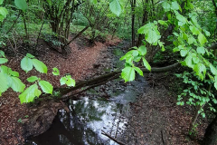 59492861_10215008258863437_1349956445025599488_n26482-masolata