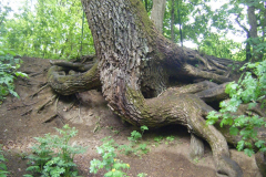 59870508_1289595257873441_919451231334694912_n26480-masolata