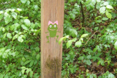 A-csinos-bekalany-segit-a-kovetkezo-allomast-megtalalni.-masolata-768x1024