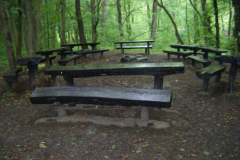 A-hely-tokeletesen-alkalmas-az-erdo-titkaival-valo-megismerkedesre.-masolata-1024x768