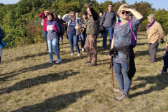 Haraszt-hegy-tetejen-766x1024