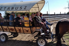 Pusztai-Allatpark-Pusztabusszal-a-Csikvarsai-reten-2-766x1024