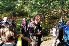 Szakvezetessel-a-Haraszt-hegyen-2-766x1024