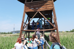 Madar-megfigyelo-kilato