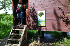 Madarmegfigyelo-haziko