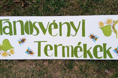 0.-250061157_361808629066057_8879570151945779520_n-1024x591