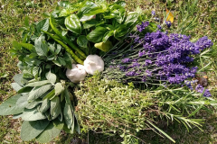 1-.242530100_4597114783654122_3211062180054325566_n