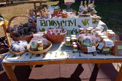 249849618_949621748960062_8997243564258181669_n-1-1024x768