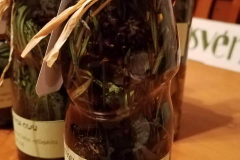 3.-242804969_4597114983654102_703178252429802416_n