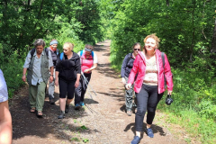 Terepgyakorlat-a-Sar-hegyi-termeszetismereti-tanosvenyen-2021.-05.-21.-1-880x1024